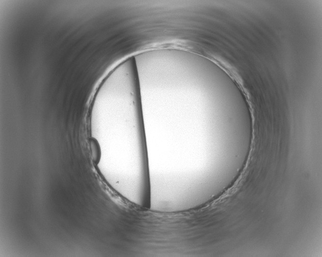 X0000051910816200507222106