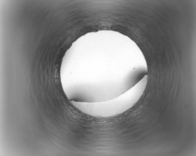 X0000051910818200507222106