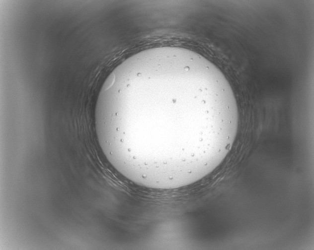 X0000051910820200507222106