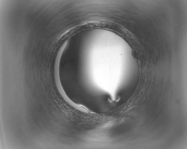 X0000051910822200507222106