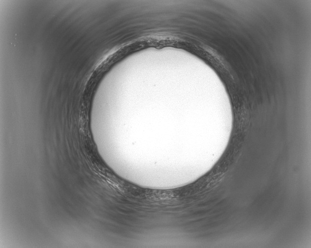 X0000051910823200507222106