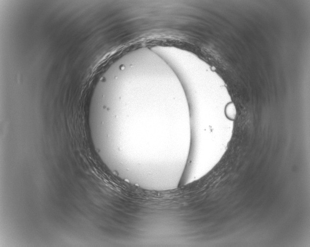 X0000051910824200507222106