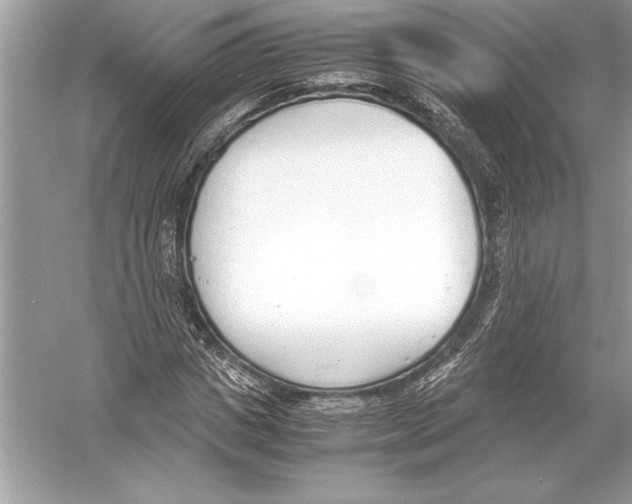 X0000051910825200507222106