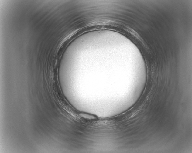 X0000051910826200507222106