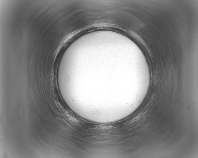 X0000051910831200507222106