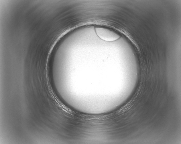 X0000051910832200507222106