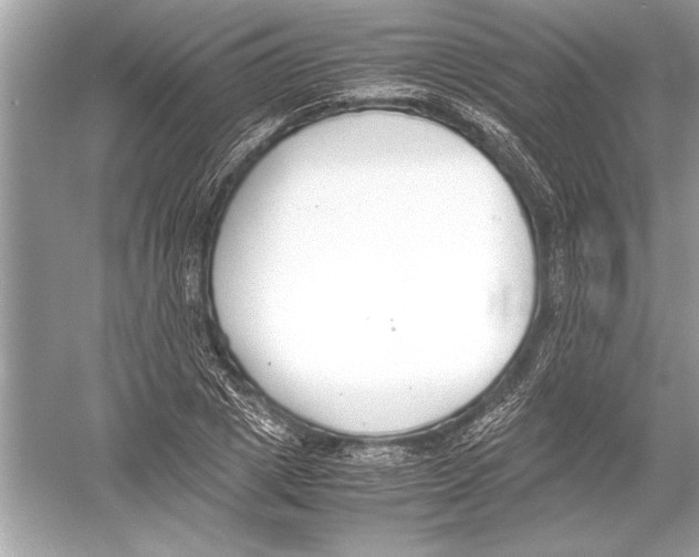 X0000051910833200507222106