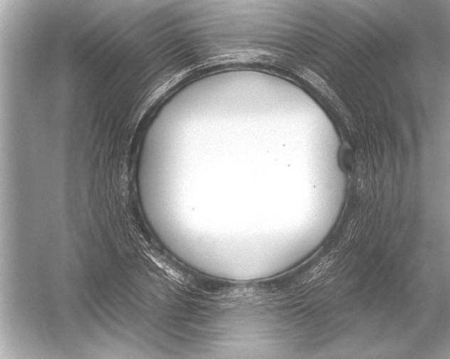 X0000051910834200507222106