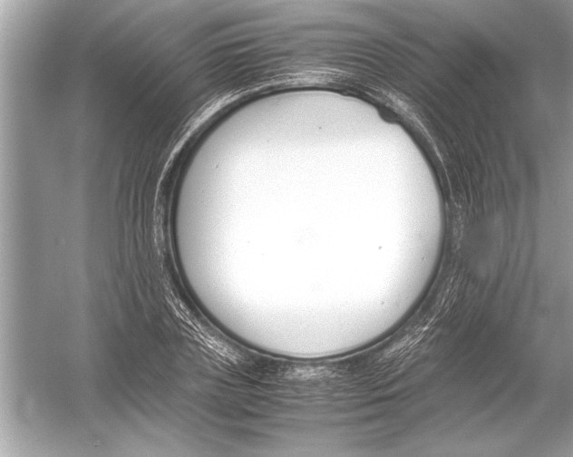 X0000051910835200507222106