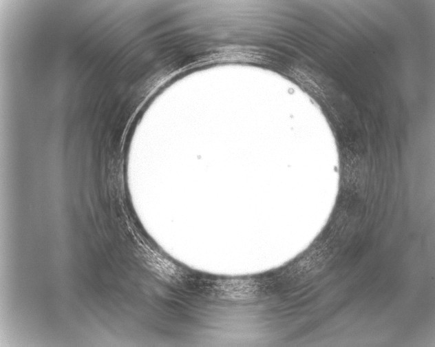 X0000051910836200507222106