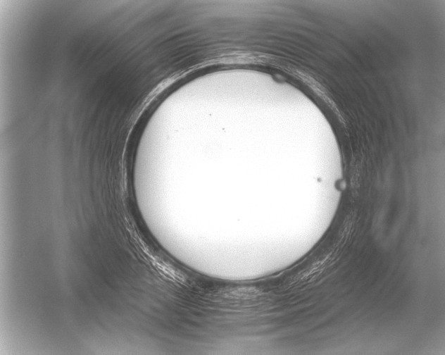 X0000051910837200507222106