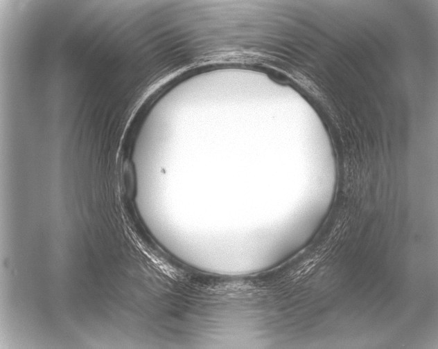 X0000051910838200507222106