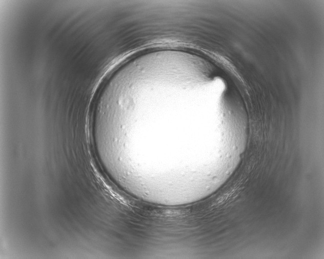 X0000051910839200507222106