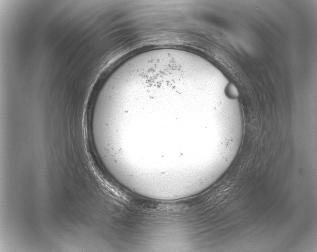 X0000051910840200507222106