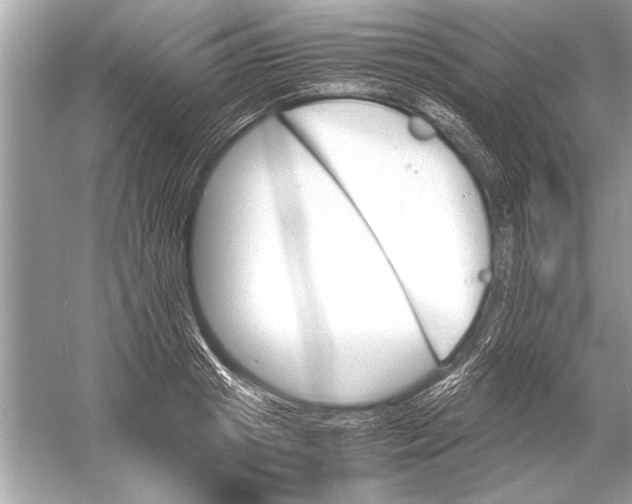 X0000051910841200507222106