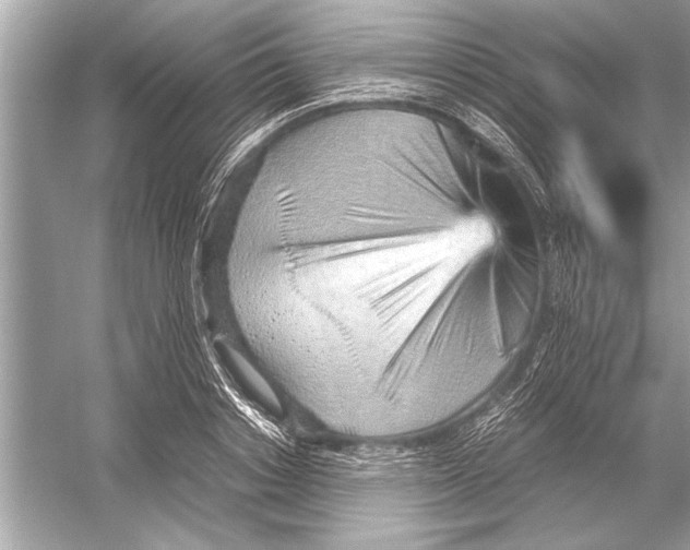 X0000051910842200507222106