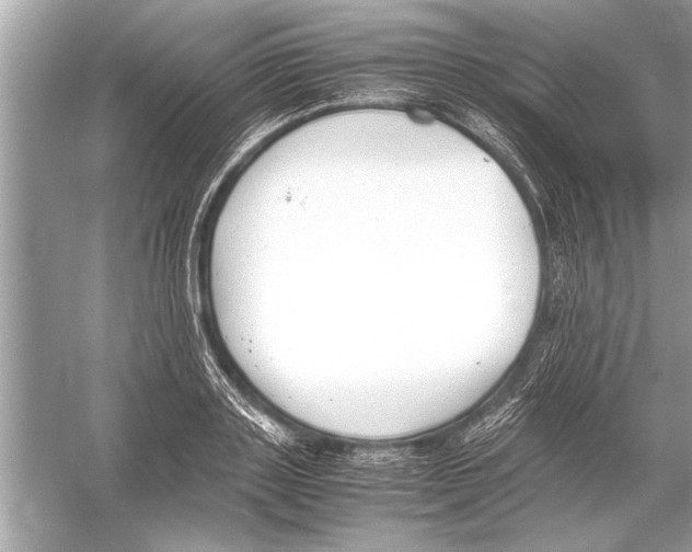 X0000051910843200507222106