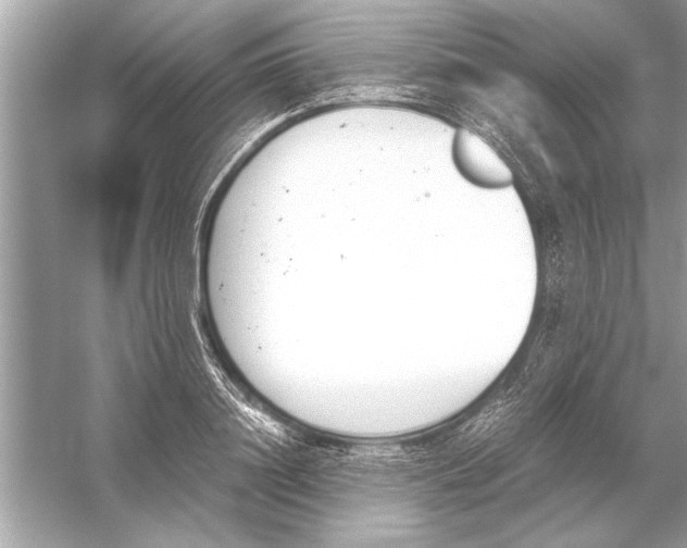 X0000051910844200507222106