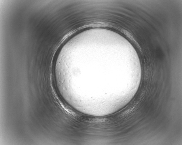 X0000051910845200507222106