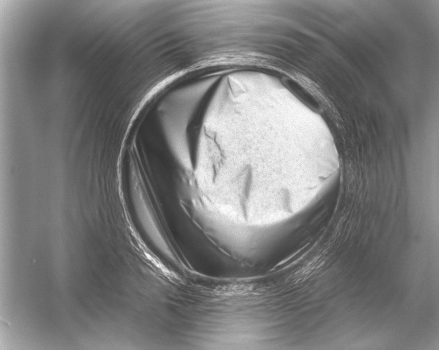 X0000051910846200507222106