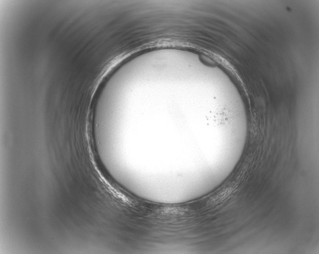 X0000051910847200507222106