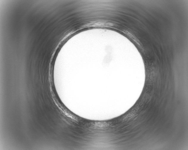 X0000051910848200507222106