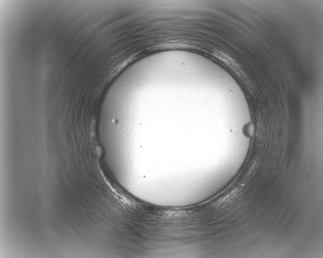 X0000051910849200507222106