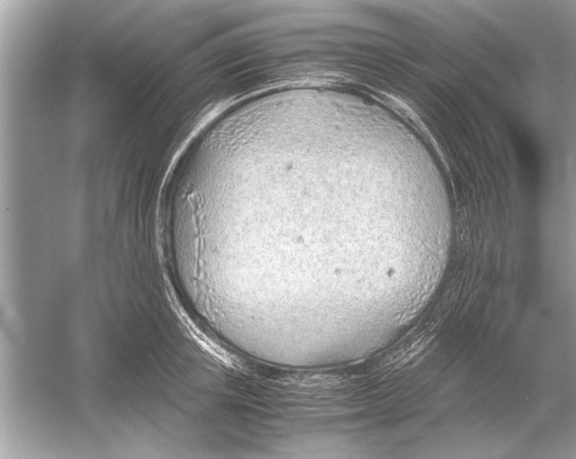 X0000051910851200507222106