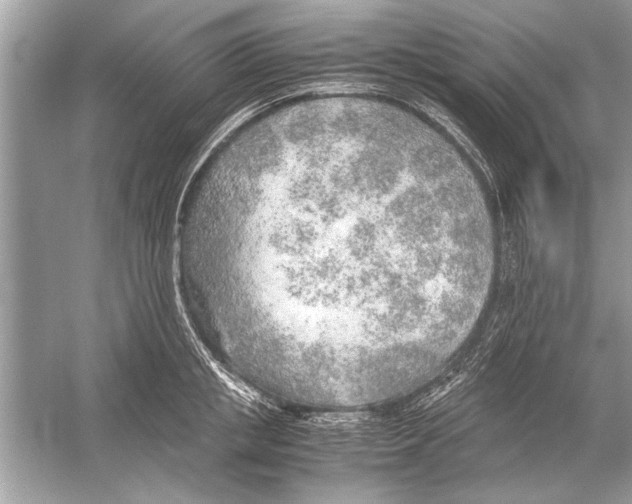 X0000051910853200507222106