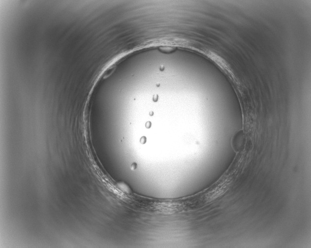 X0000051910854200507222106