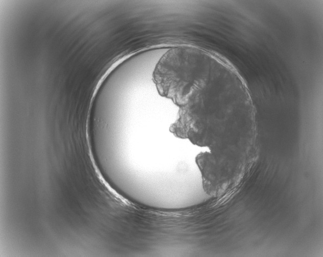 X0000051910855200507222106