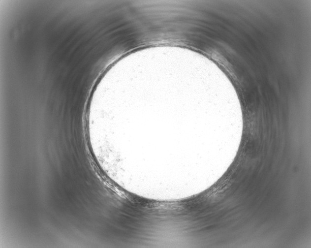 X0000051910856200507222106