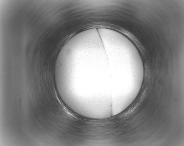 X0000051910857200507222106