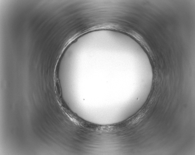 X0000051910858200507222106