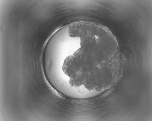 X0000051910859200507222106