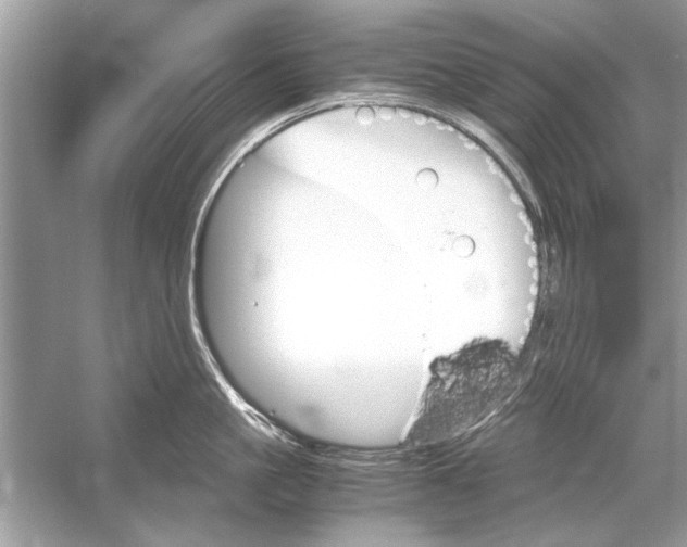 X0000051910861200507222106