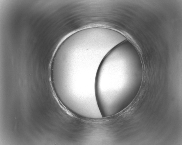 X0000051910862200507222106