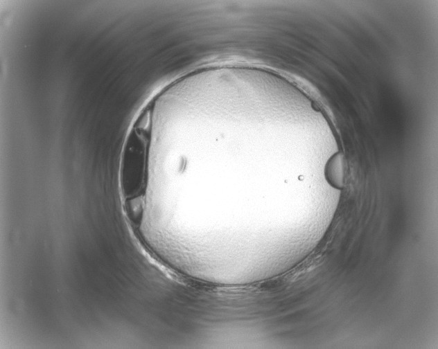 X0000051910863200507222106