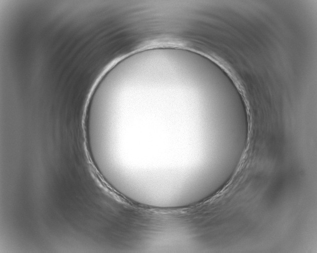 X0000051910864200507222106