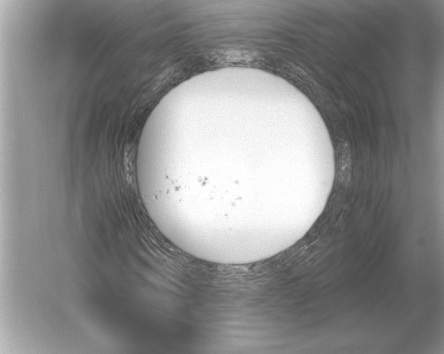 X0000051910866200507222105