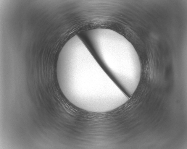 X0000051910868200507222105