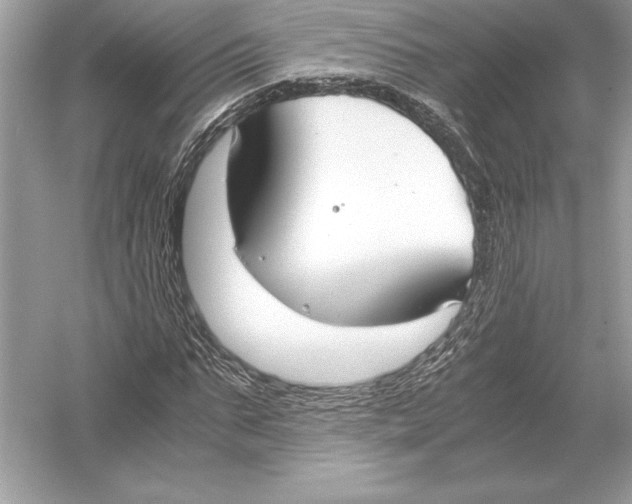 X0000051910871200507222105