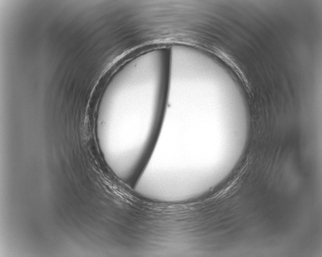 X0000051910876200507222105