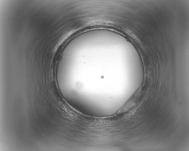 X0000051910877200507222105