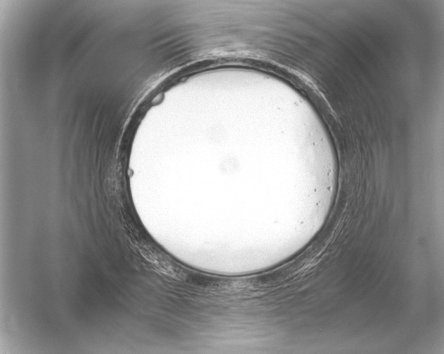 X0000051910879200507222105