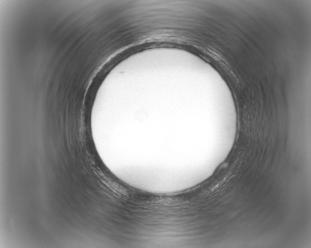 X0000051910880200507222105