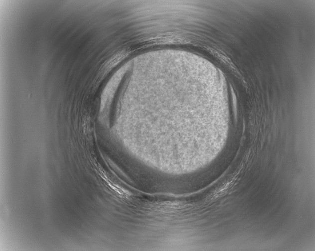 X0000051910881200507222105