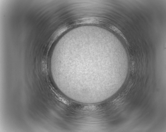 X0000051910882200507222105