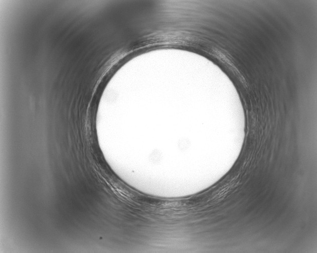 X0000051910883200507222105