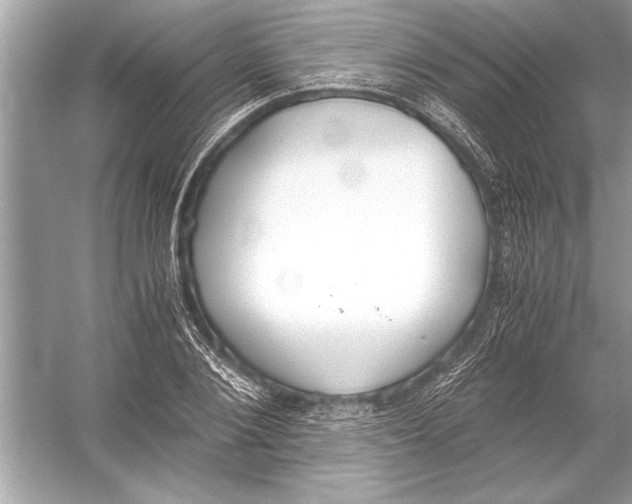 X0000051910884200507222105